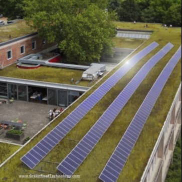 solar on school with green